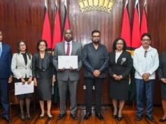 New members of Law Reform Commission urged to examine legal framework for Silica City