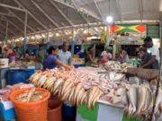 Oil money to help boost disposable income of citizens by $70 Billion in 2024 -Report