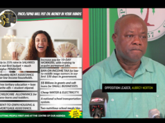 PNCR’s flyer of promises riddled with contradictions