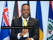 CXC to leverage AI-powered literacy, numeracy programme as part of digital transformation