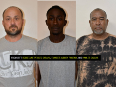 Illegal airstrip landing: Brazilian among 3 charged with narcotic trafficking, illegal entry