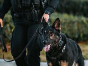 ExxonMobil seeking canine services to prevent transport of narcotics at Guyana operations