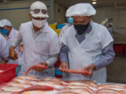 Agri. sector growth still on the rise despite sugar output decline-report