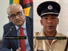 Brutus can let out whatever cats, dogs or pigs he has in his bag; gov’t not afraid – VP Jagdeo