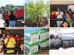 Shade houses, cassava & black giant chicks for Orealla, Siparuta