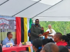 More than $52B invested in Region One over the last four years – President Ali