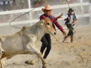 Govt. unveils agritourism policy, roadmap in bid to strengthen non-oil industries