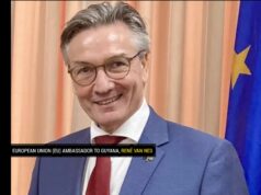 Robust institutions crucial to sustaining Guyana’s long-term growth-EU Ambassador