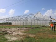 Fort Wellington Hydroponic Farm to be operationalised in two weeks – Min. Mustapha