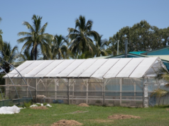 Women, youth to receive training in climate-smart agricultural practices