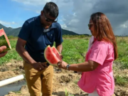 Parikwarunau Village farm boosting local employment