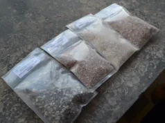 Opposition must be held accountable for decline in forestry, bauxite sectors – President Ali