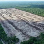 Hauraruni Housing Development along the Soesdyke-Linden Highway
