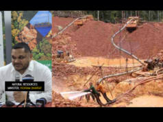 Gold, bauxite, stone production increased in 2024 – Min. Bharrat