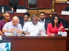 $14.2B approved to accelerate developments in Region Four