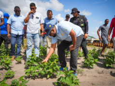 CARICOM’s plan to reduce US$6 billion food import bill by 2025, pushed back to 2030