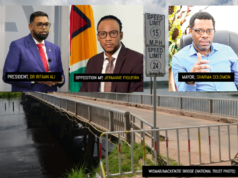 Figueira supports Presi. Ali’s removal of Wismar/Mackenzie Bridge toll