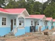 47% of 50,000 house lots went to women, 90% to low-income families