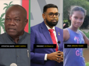 Norton blasts govt., demands FBI probe into death of Adrianna Younge