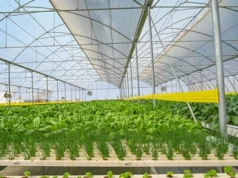 500 families to access 50 acres of aquaponics farms in Berbice