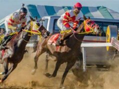 National Assembly passes landmark Horse Racing Authority Bill