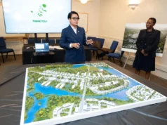 Diaspora urged to tap into diverse investment opportunities in Silica City’s development