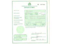 Police probing allegation of “fraudulently created” birth certificates