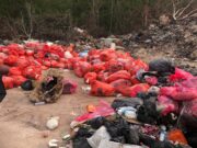 Waste disposal worsening in Linden as sawmills surge from 4 to 20 – Mayor Solomon