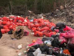 Waste disposal worsening in Linden as sawmills surge from 4 to 20 – Mayor Solomon