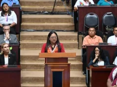 Amerindian leaders urged to ‘speak up’ about progress, challenges