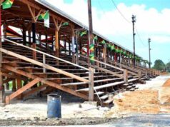 PPP/C commits to rehabilitating D’Urban Park