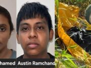 Daughter confesses to murdering mother; son-in-law admits role in disposing body