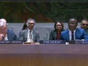 ‘Peace, security cannot be divorced from development’ – Min. Todd at UN Security Council