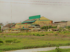 Over 20 proposals under review to transform Enmore estate into industrial hub-Pres. Ali