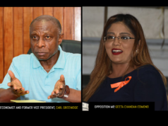 PPP should be concerned about Chandan-Edmond’s undermining of the system – Greenidge