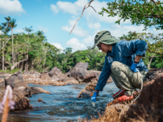 Global Biodiversity Summit should pave way for investment in new conservation programmes-Project Director