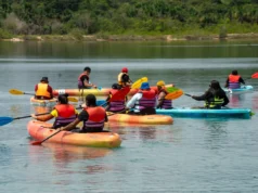 Domestic tourism increases by 50 per cent