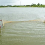 Fishermen are at work along the Corentyne Coast