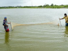 Gov’t to diversify incomes for sugar workers, boost fisherfolk and reduce poverty – President Ali