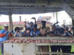 Guyana Prison Service boasts success in tilapia production