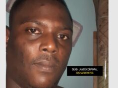 Businessman shoots cop dead at Vreed-en-Hoop Stelling