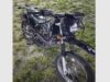 Female pillion rider dies after motorcycle collides with cow on Essequibo Coast