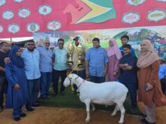 Agriculture Month is a celebration of industry’s growth, success – Mustapha at Ruminant Expo