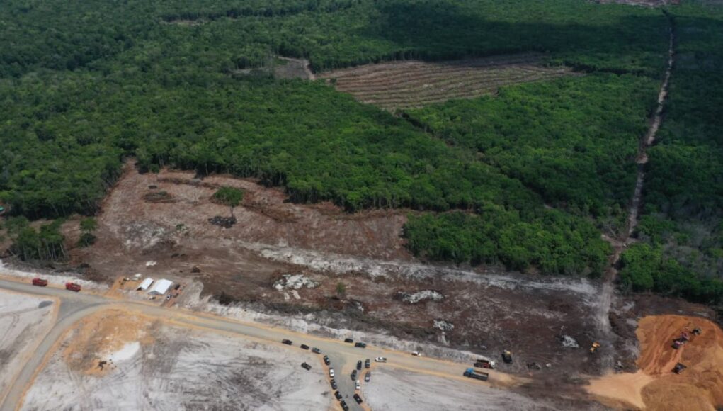 WhatsApp-Image-2025-10-29-at-15.36.40-1