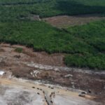 WhatsApp-Image-2025-10-29-at-15.36.40-1