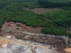 Wismar phase one all set for home construction by year-end