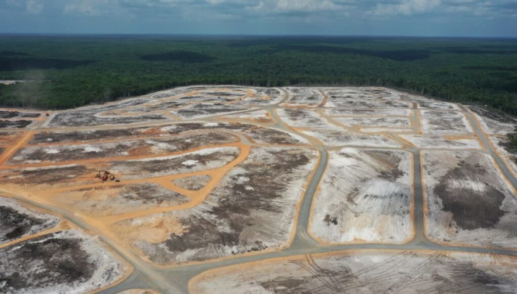 WhatsApp-Image-2025-10-29-at-15.36.40-3-1