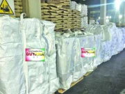 We are committed to helping Jamaica – VP Jagdeo