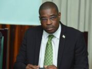 With no Oppos. Leader, PPP can bypass constitutionally required consultation – Patterson warns