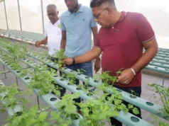 Minister Mustapha unveils bold agri-plans for Linden farmers